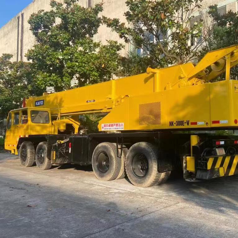 30TON Max. Lifting Load Used Truck Crane NK250E-V NK300E-V for Heavy Duty Work
